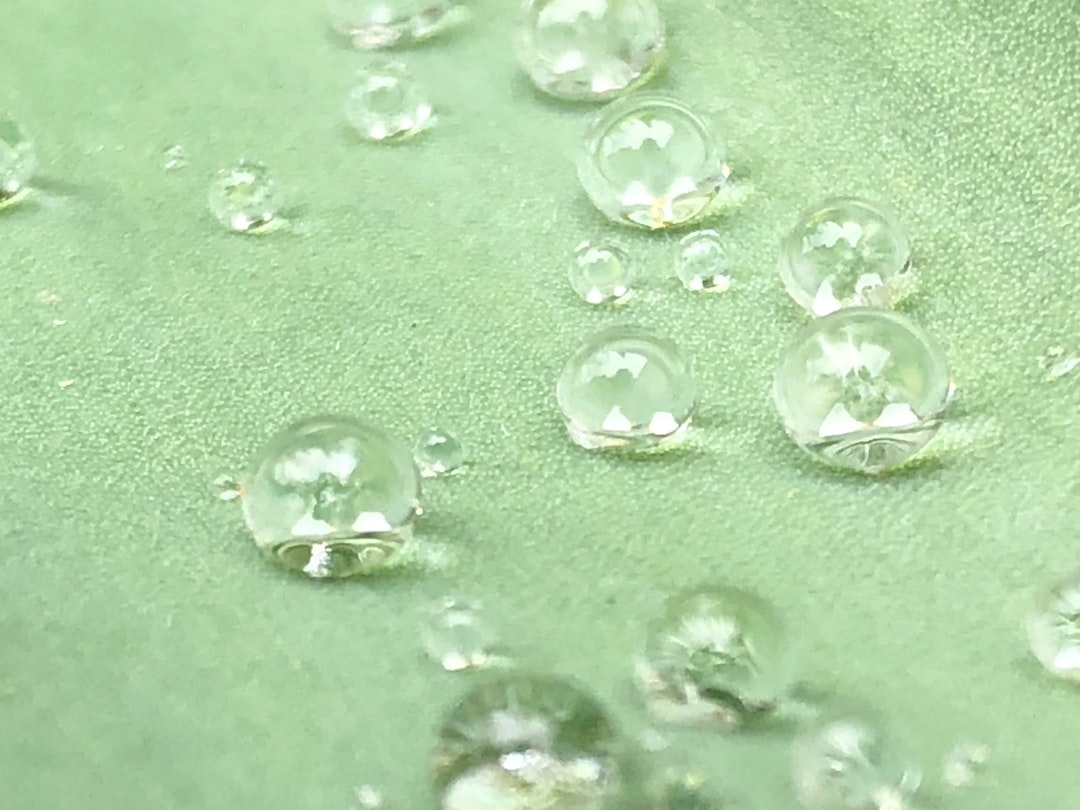 Нано-защита ковров и мебели в Праге – BeeClean
